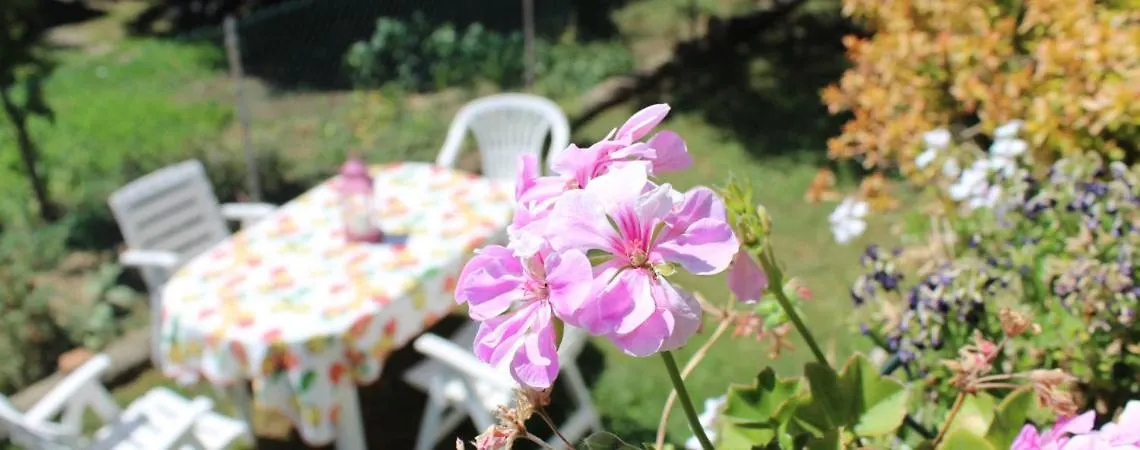 B&B Via Roma Cesate